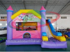 New Types Inflatable Disney Mini Bouncer with wholesale price